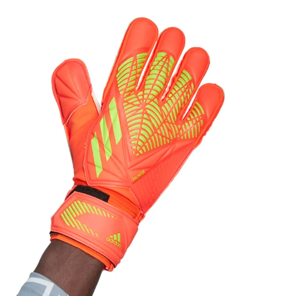 adidas Predator Edge Match Gloves | HC0617