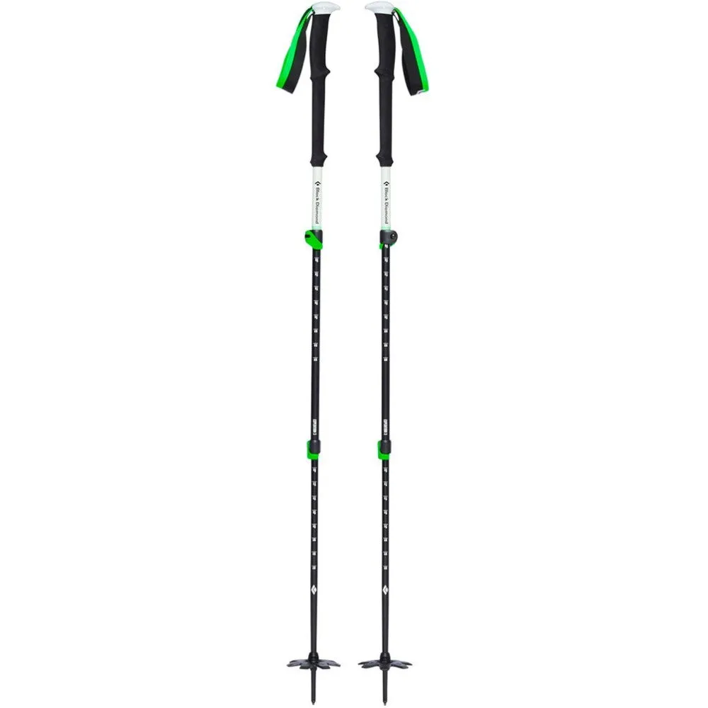 Expedition 3 Ski Poles