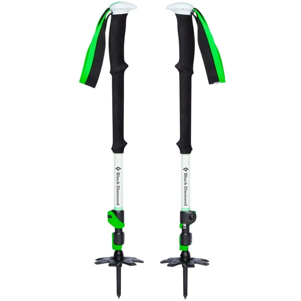 Expedition 3 Ski Poles