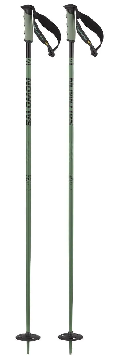 Poles Salomon ---Hacker S3 Duck Green