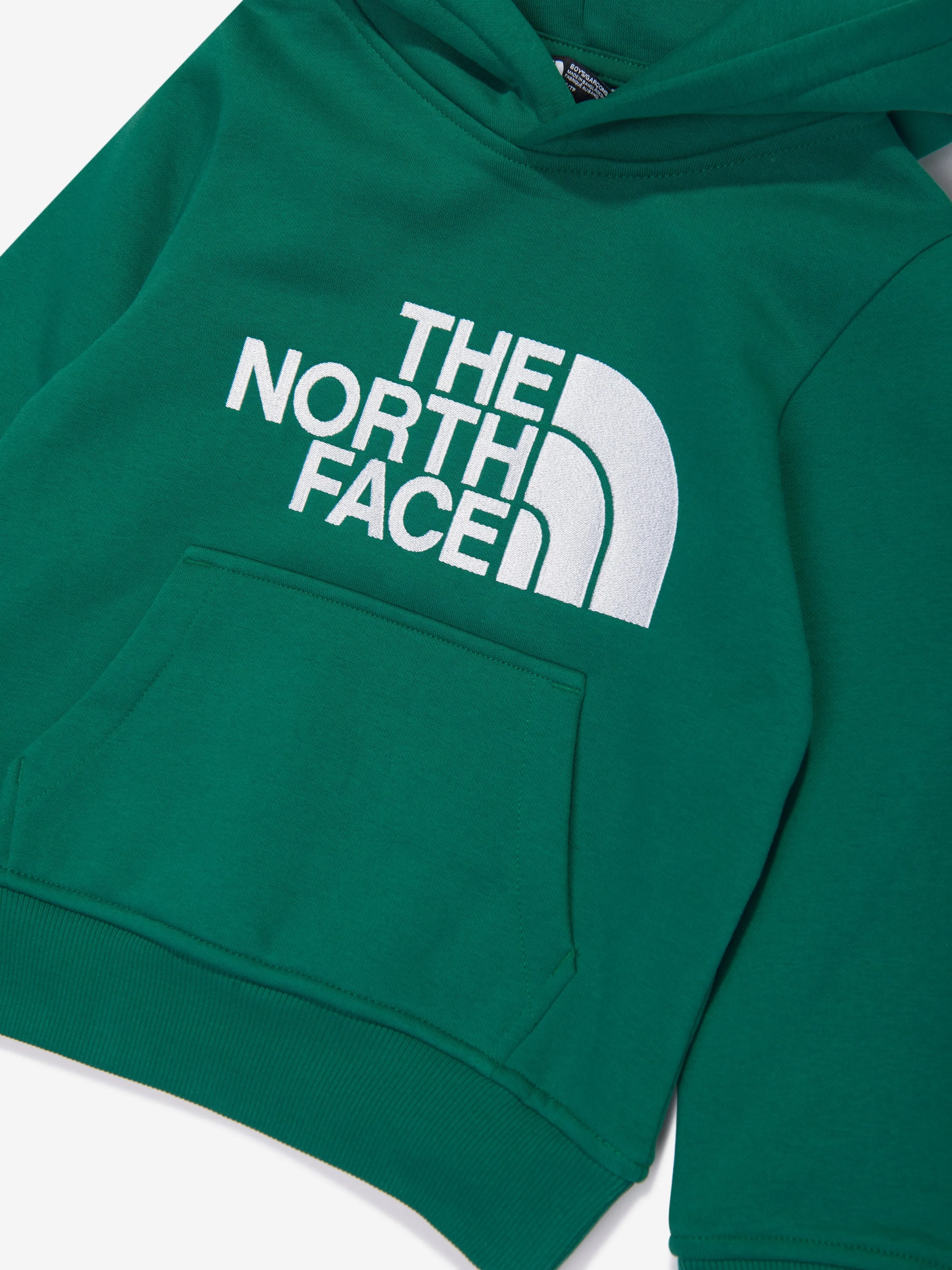 The North Face Boys Drew Peak Hoodie in Green